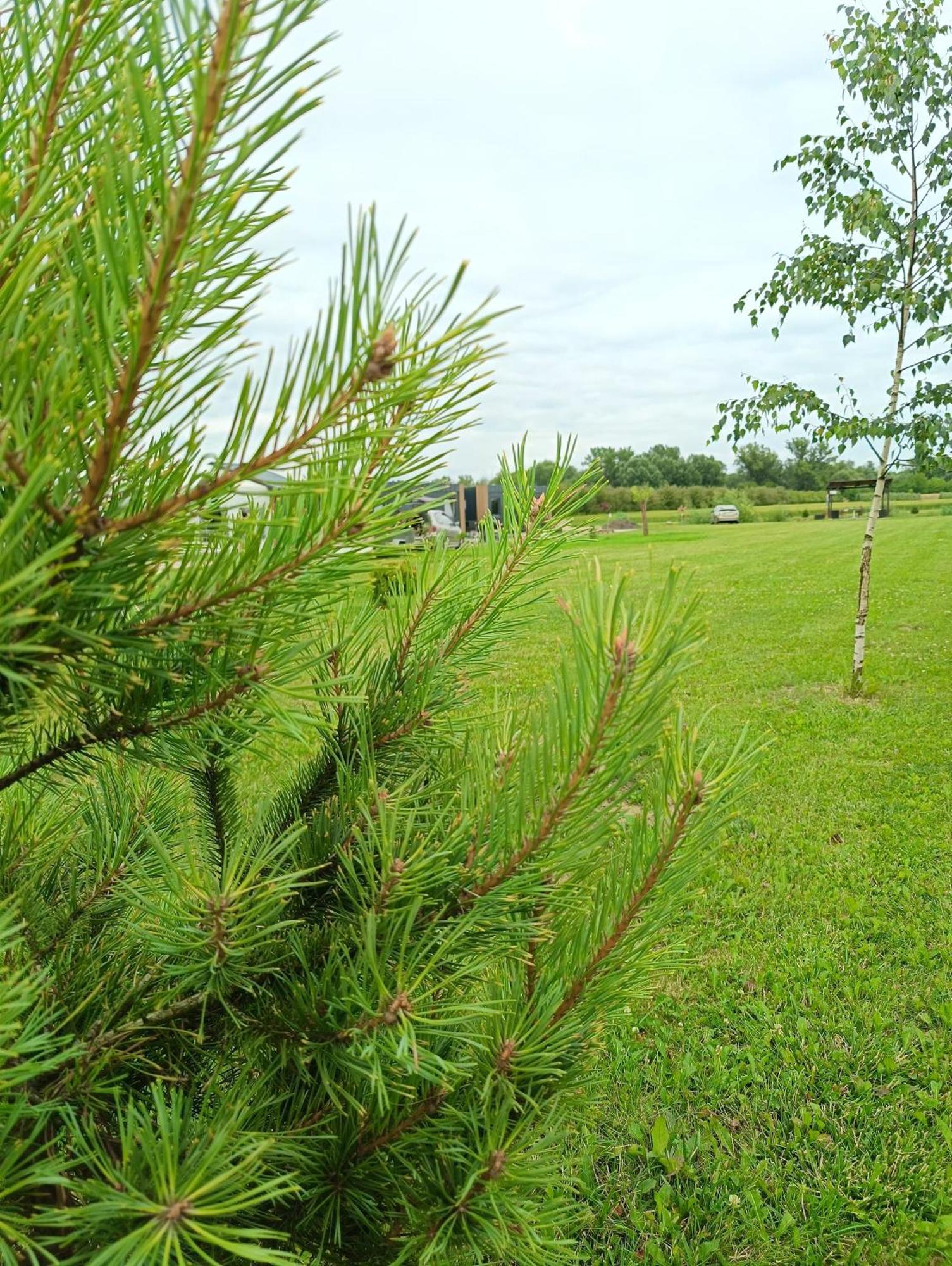 Ostoja Czersk Gora Kalwaria Zamek Krolowej Bony Domki Caloroczne Buitenkant foto